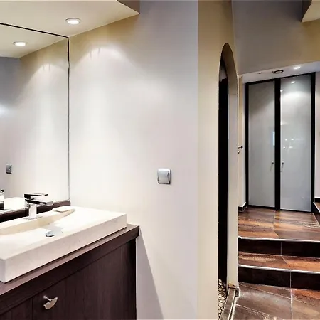 公寓 Orpi Chavanne1 Duplex Terrasse Hyper Centre 里昂